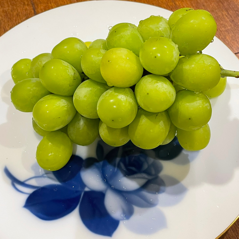 #5 インスタ繋がりの友人