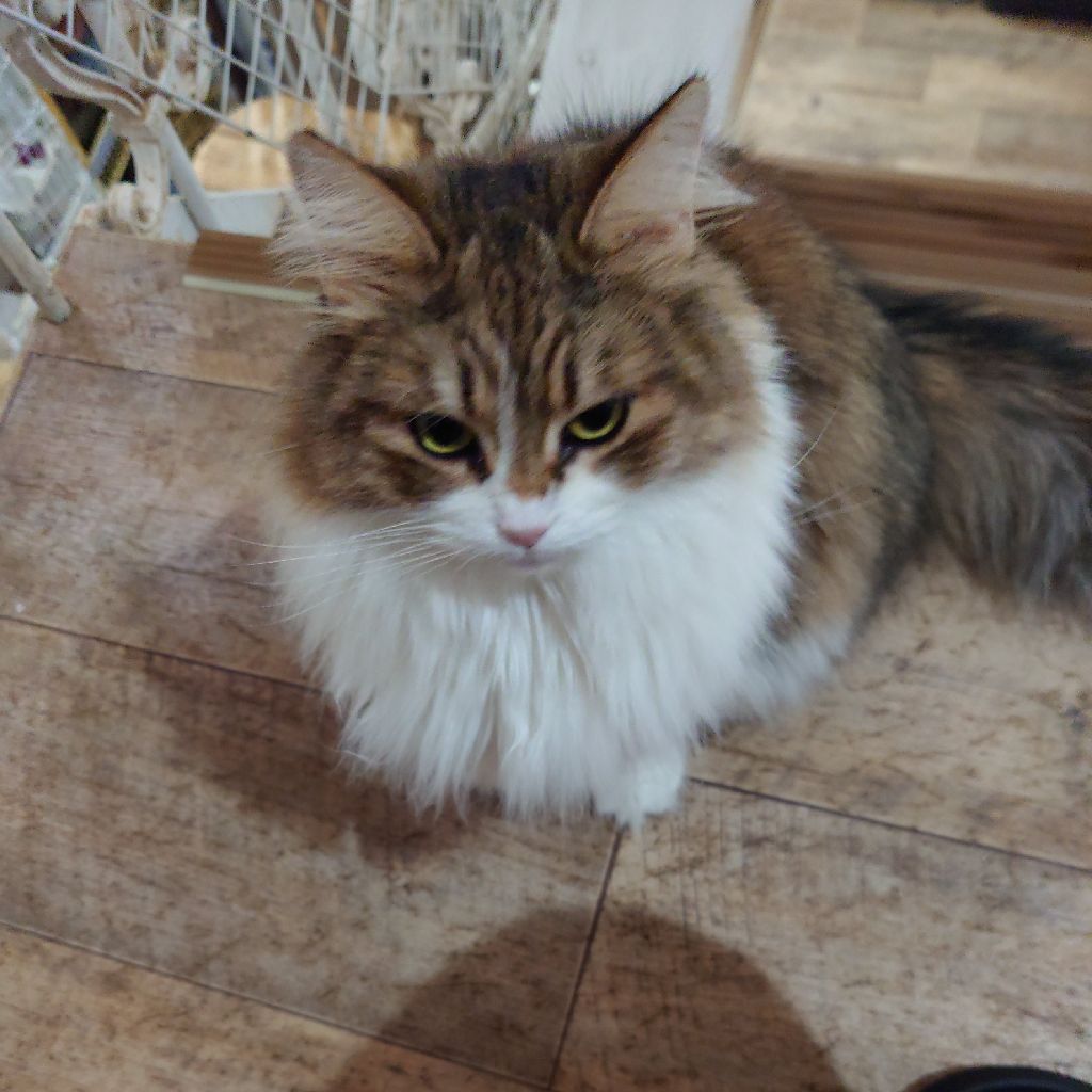 気の向いた時に