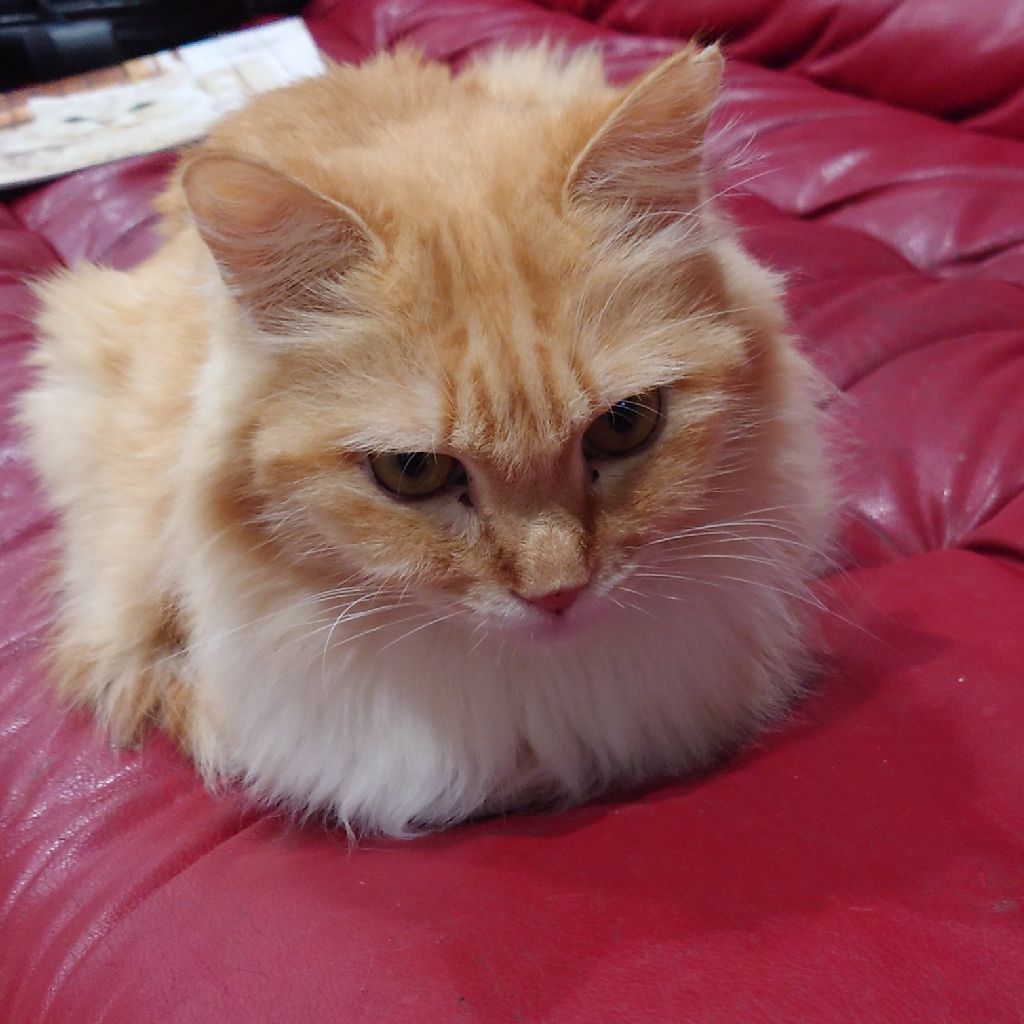 年の瀬いかがお過ごしですか？