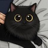 黒猫ちゃん♂