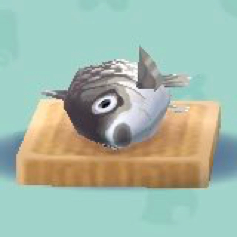 おさかなラジオ