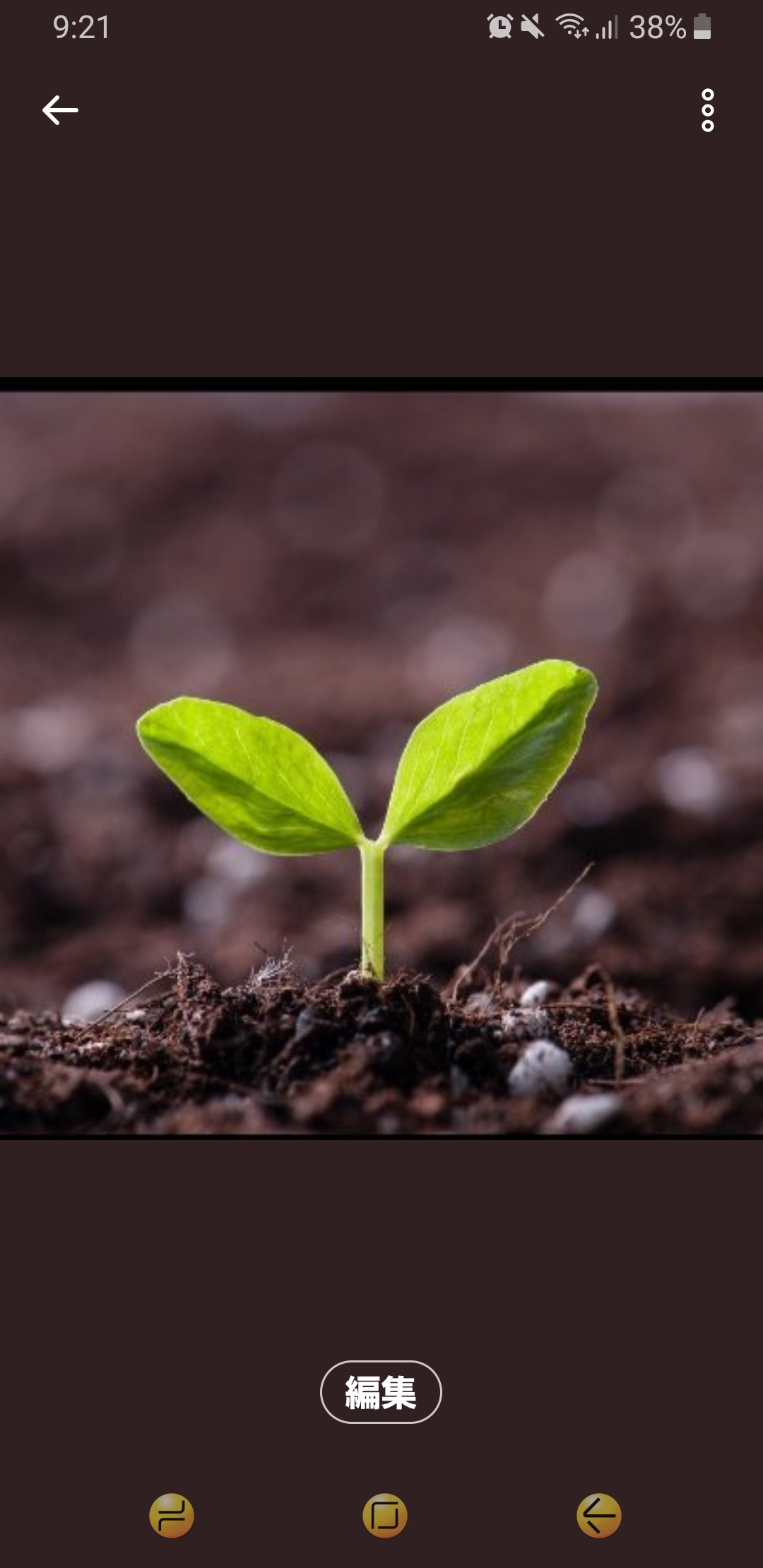 ド緊張の初配信