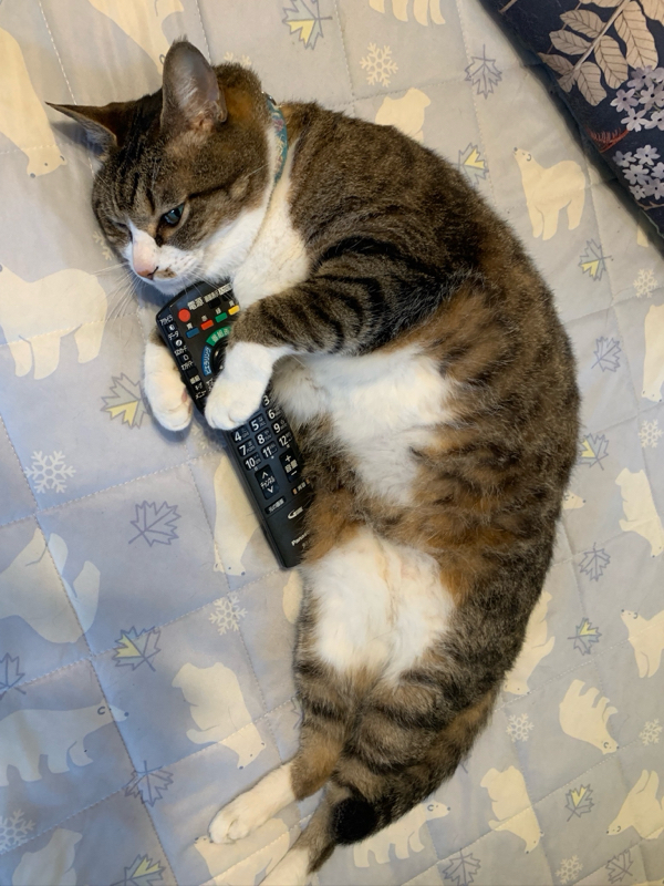 アカウント移行とコロナの話