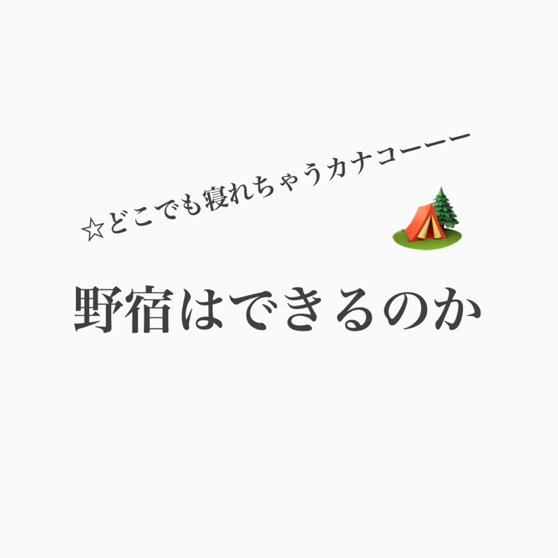 #235 どこでも寝れる2人はいったい野宿はできるのか？