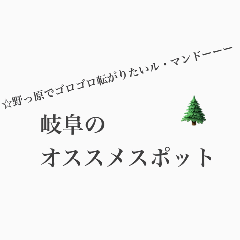 #255 岐阜のオススメのスポットと言ったら野っ原と花見！