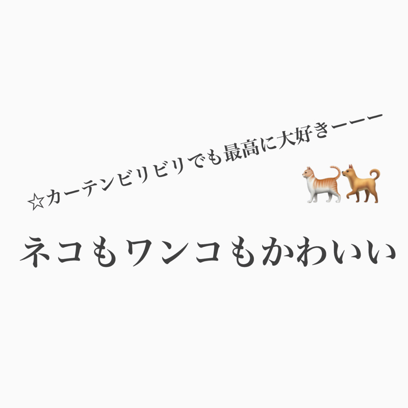 #346 ペットとの暮らしは最高の最高の最高。