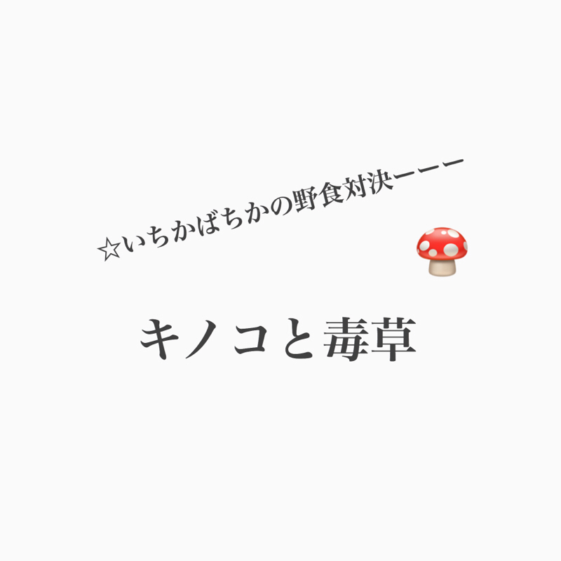 #357 魔女が毒草を煮詰めるツボはIH対応か？