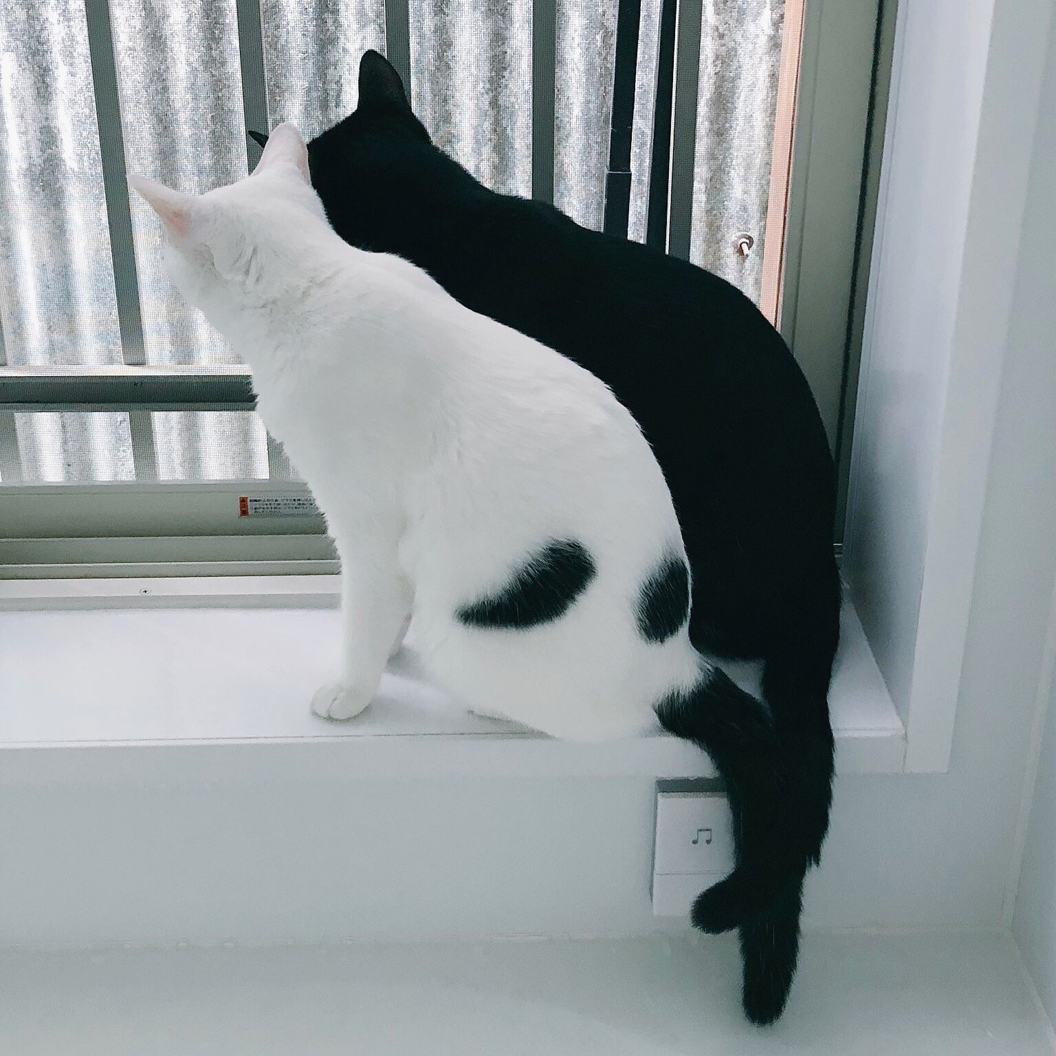 #15 女になりたい？それとも男？いやいや、中性の世界を目指す！