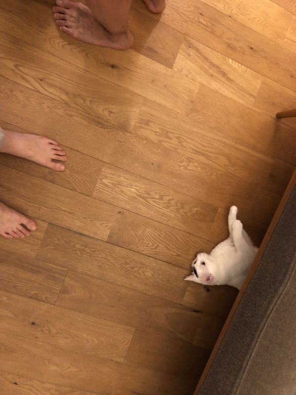 #16 ル・マンドおすすめ、ゾンビ映画の楽しみ方