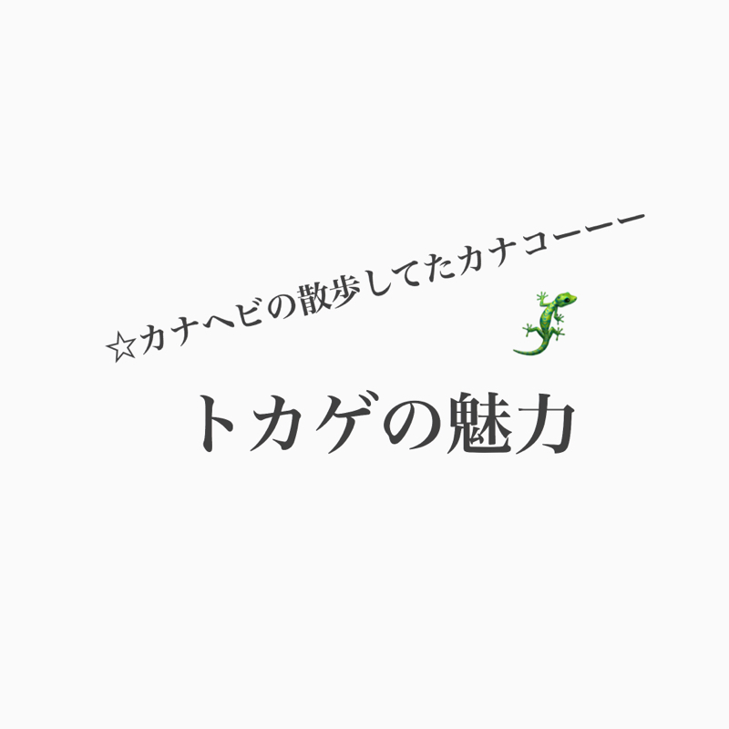 #208 フトアゴ派？ヒョウモン派？トカゲの魅力を語るよ。