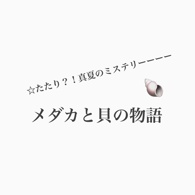#374 メダくんと貝君を巡る夏のミステリー
