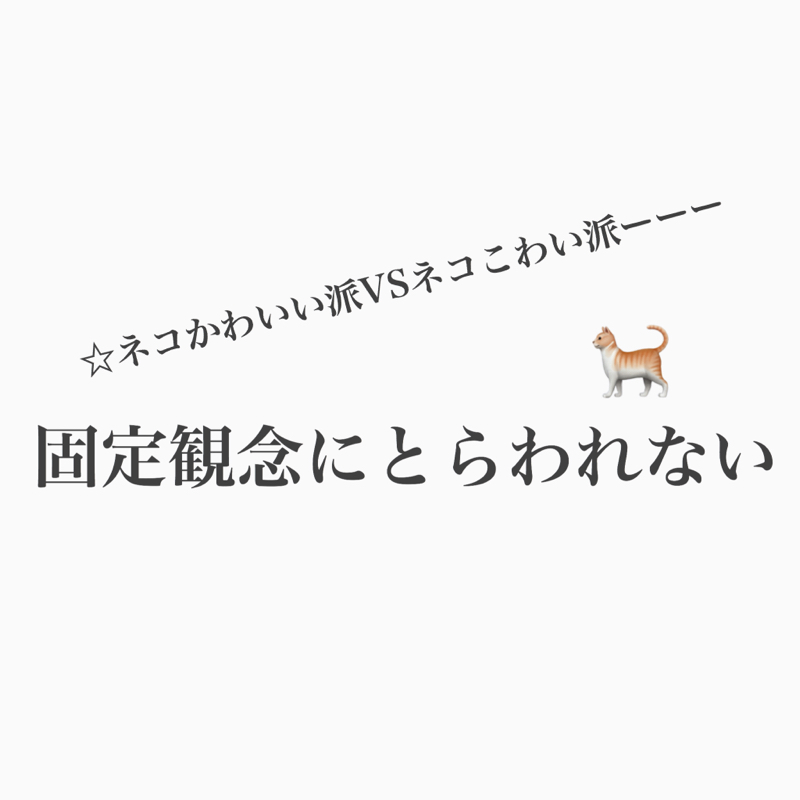 #385 ネコかと思ったらビニール袋だったあの日