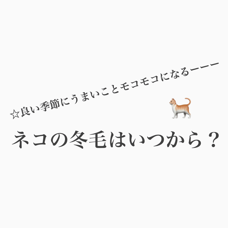 #482 毛根に活力　ネコたちの冬毛事情 from Radiotalk episode artwork