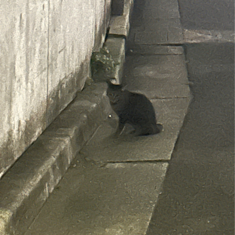 お試し1
