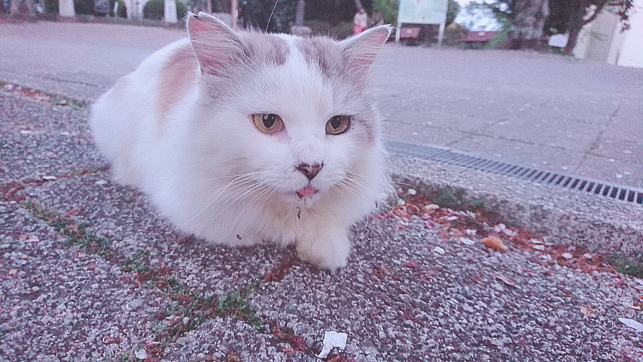 映画館で泣くと恥ずかしいのなんで