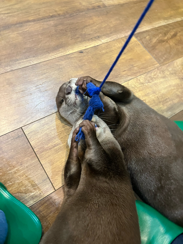 ビギ姉@ラッパーギャル