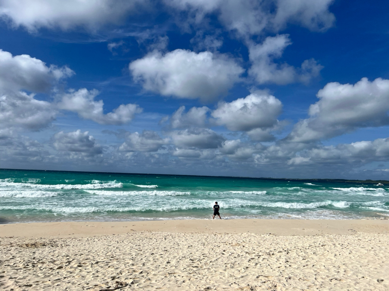 かつおマンゴーになる休暇