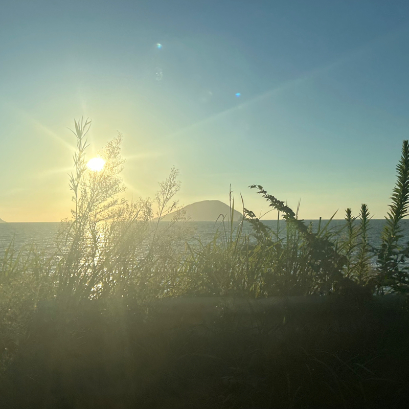 収録①『破壊と再生』