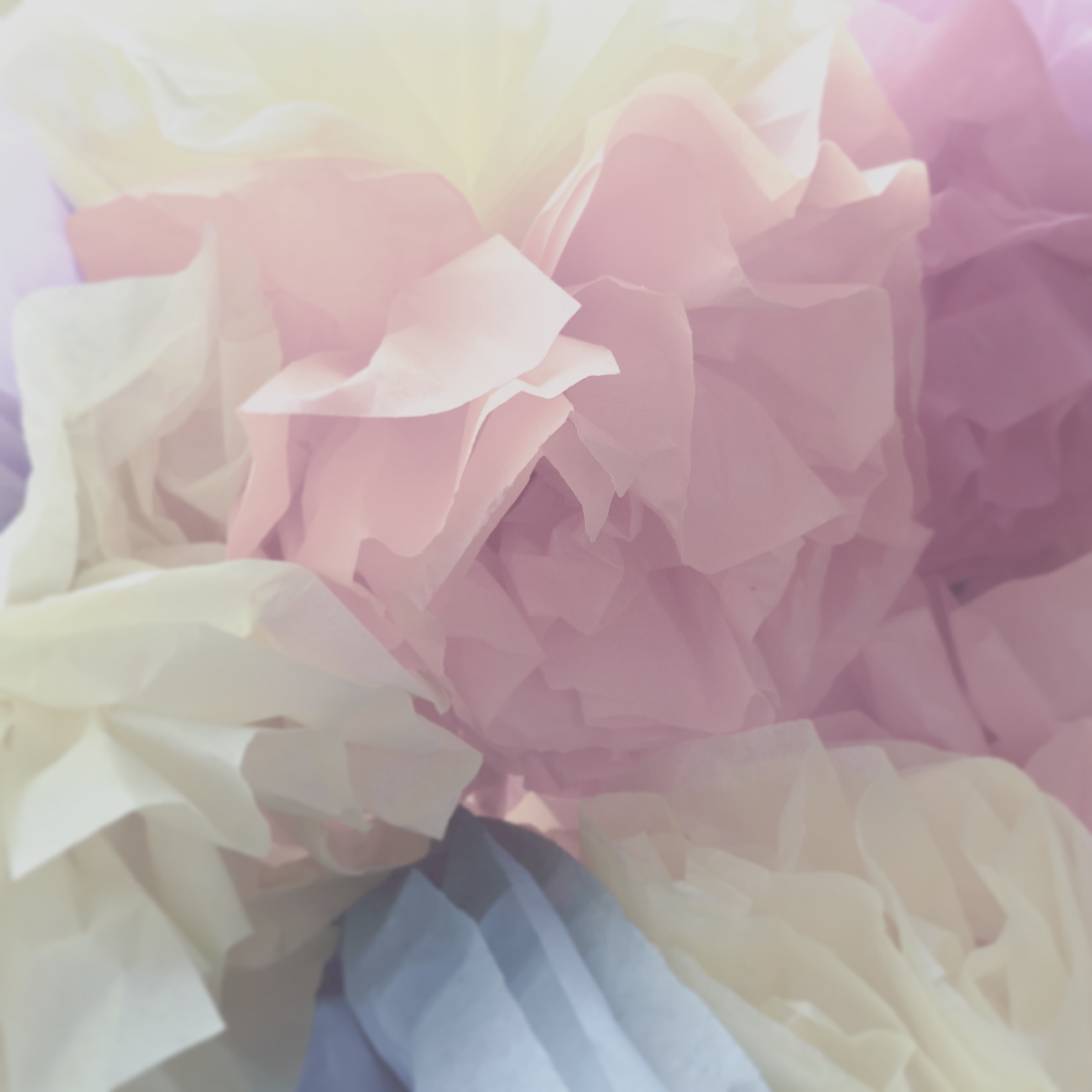 ばらの花_ループ from Radiotalk episode artwork
