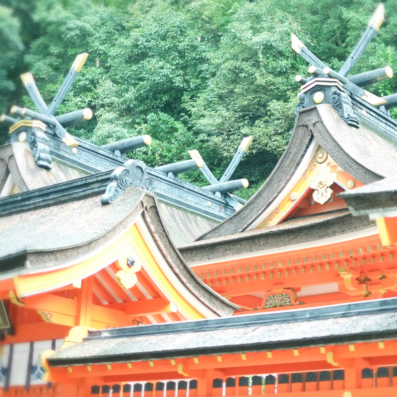 国宝を観た話👘
