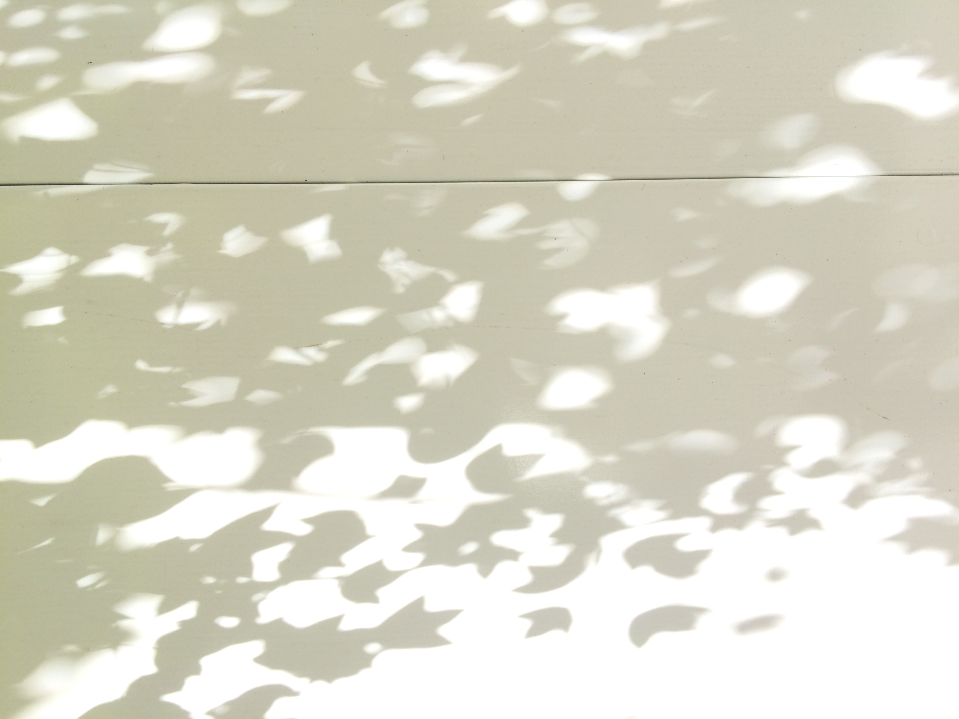 🎸虎／弾き語りコラボ🍺