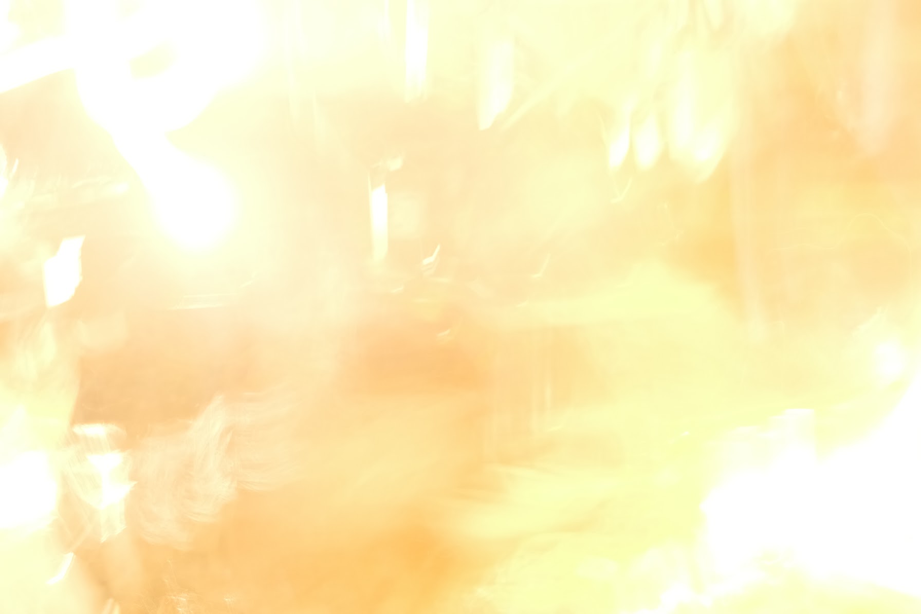 🎸てきとう_バンド