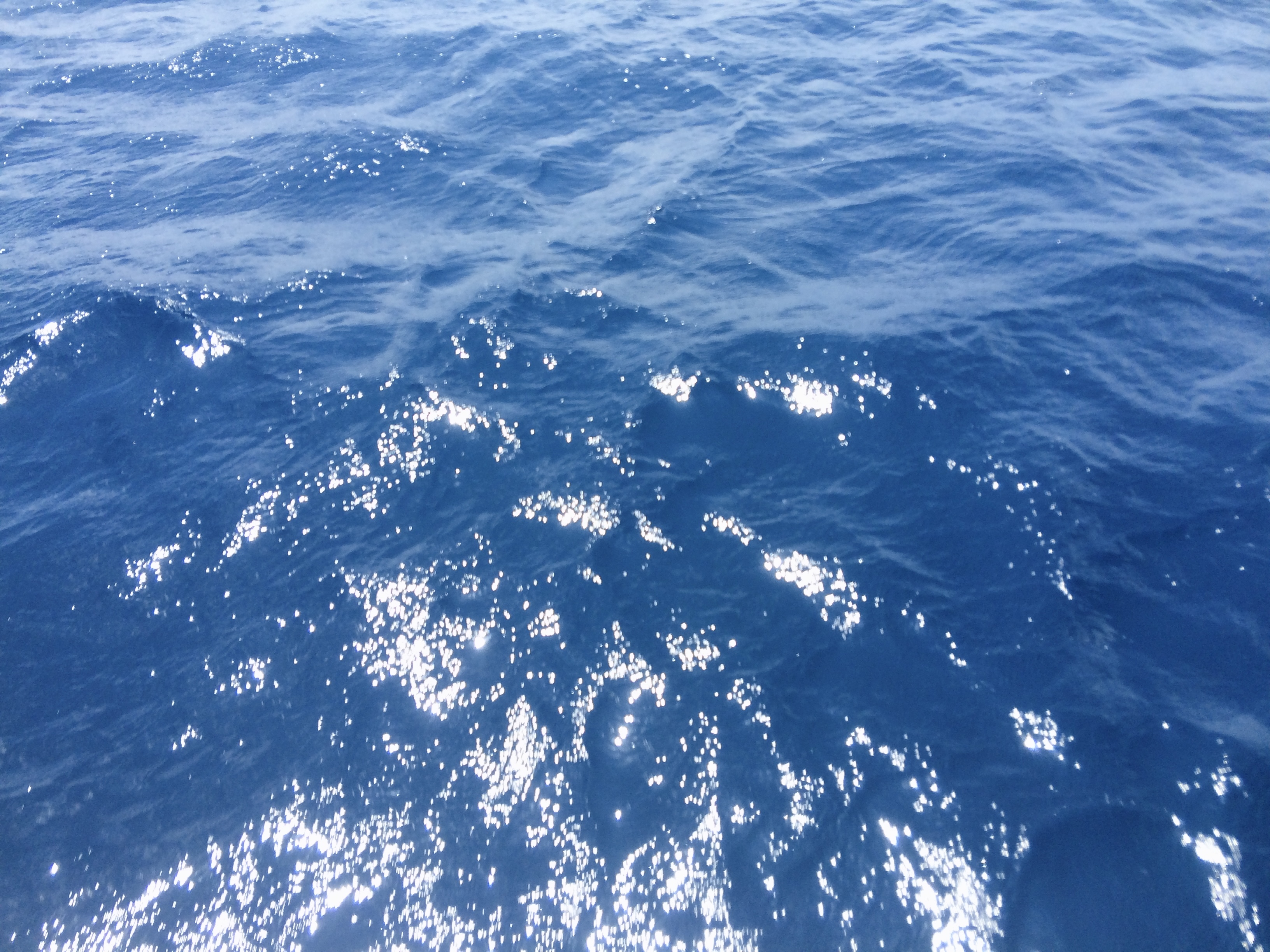 🎸波よせて／クラムボン／コラボ🍺