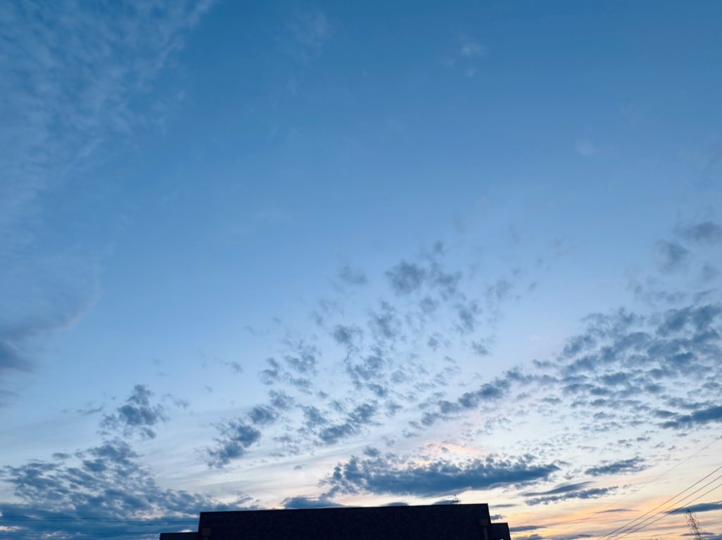 🎸やさしい生活