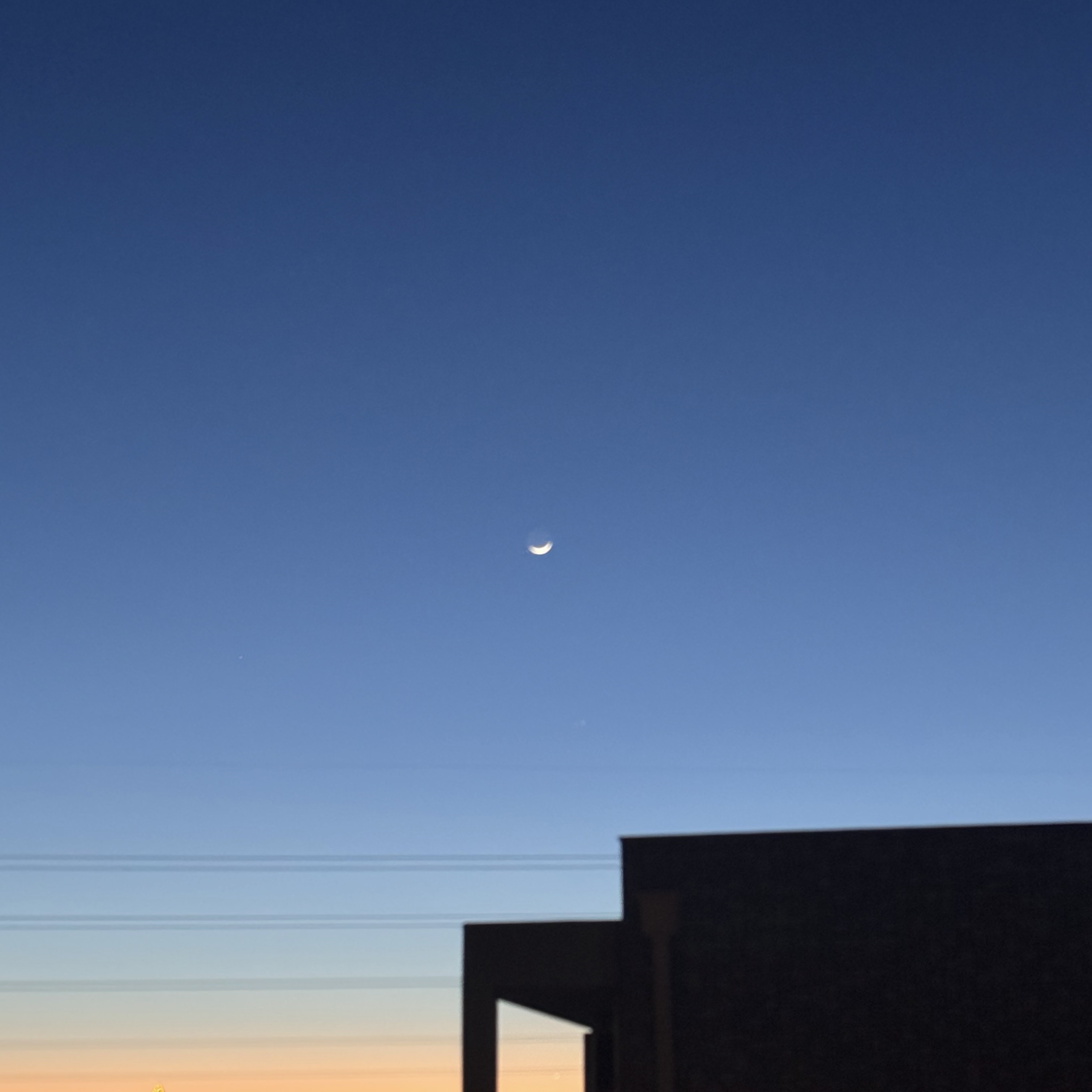 🎹ルーキーのループするだけ