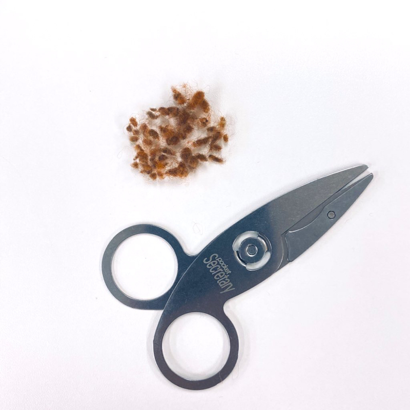 人差し指の話👆