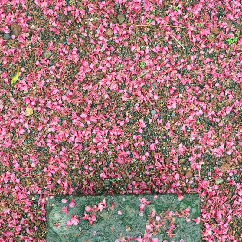 靴を洗っていた時の話👟