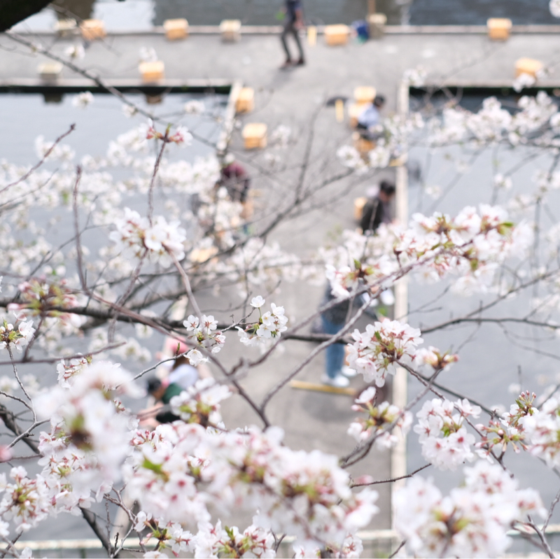 自動翻訳の話📢