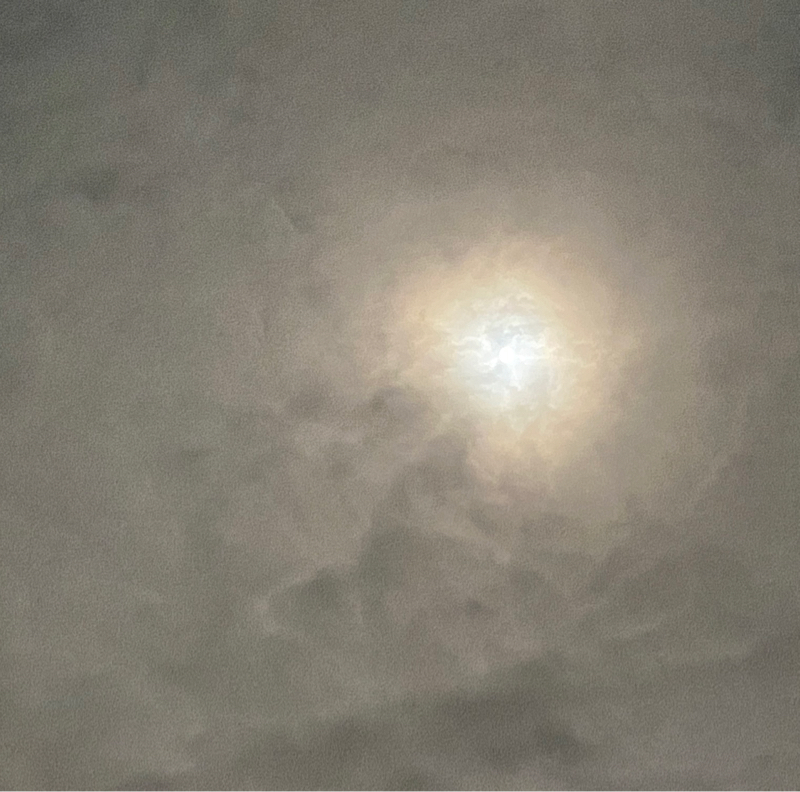 配信を始めたきっかけ🌙*·̩͙