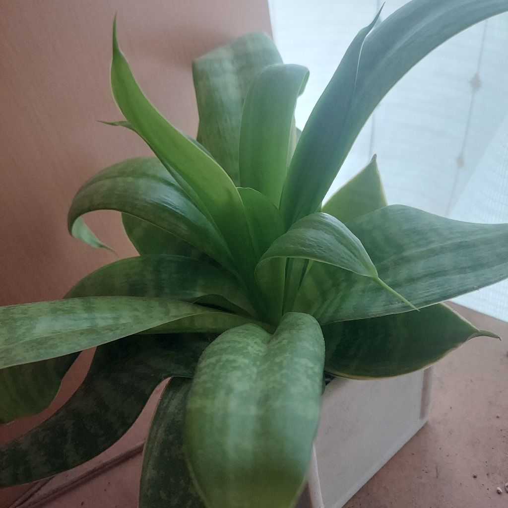 #032, 今日はここまで