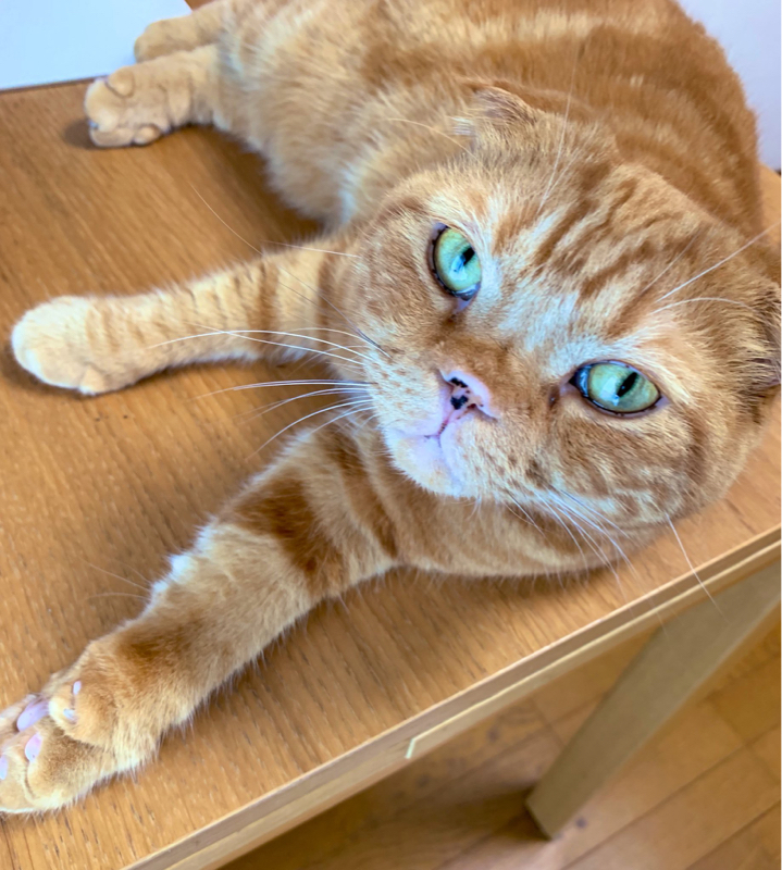 #13 凹んでいるというよりはキレています