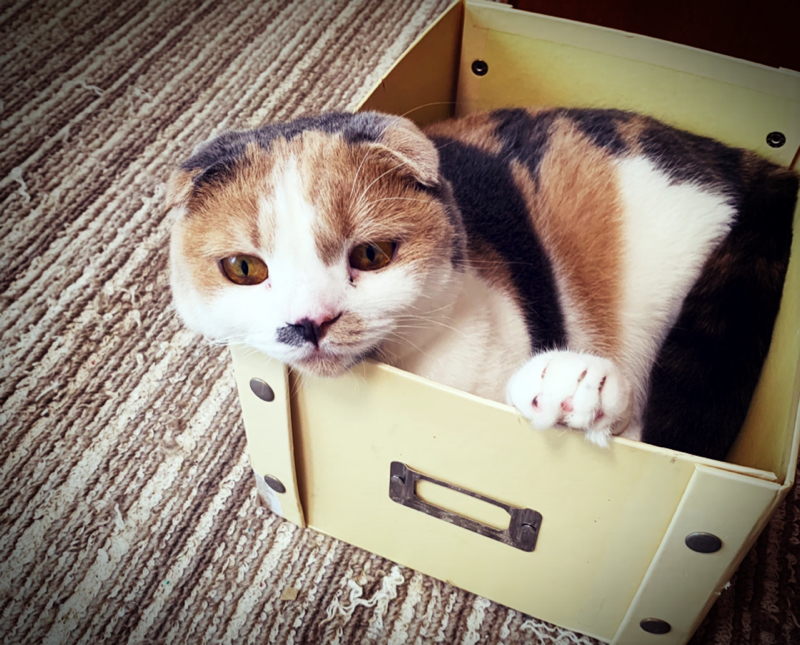 #15 好きなことして食べてません