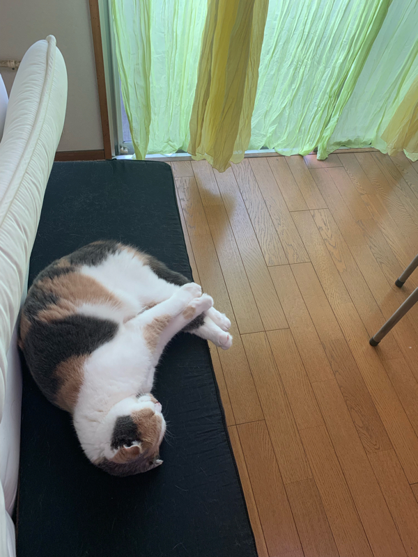 #20 収入が少ない人が今日買ったもの