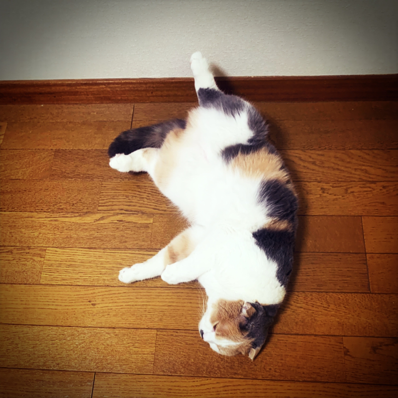 #42 コールセンター