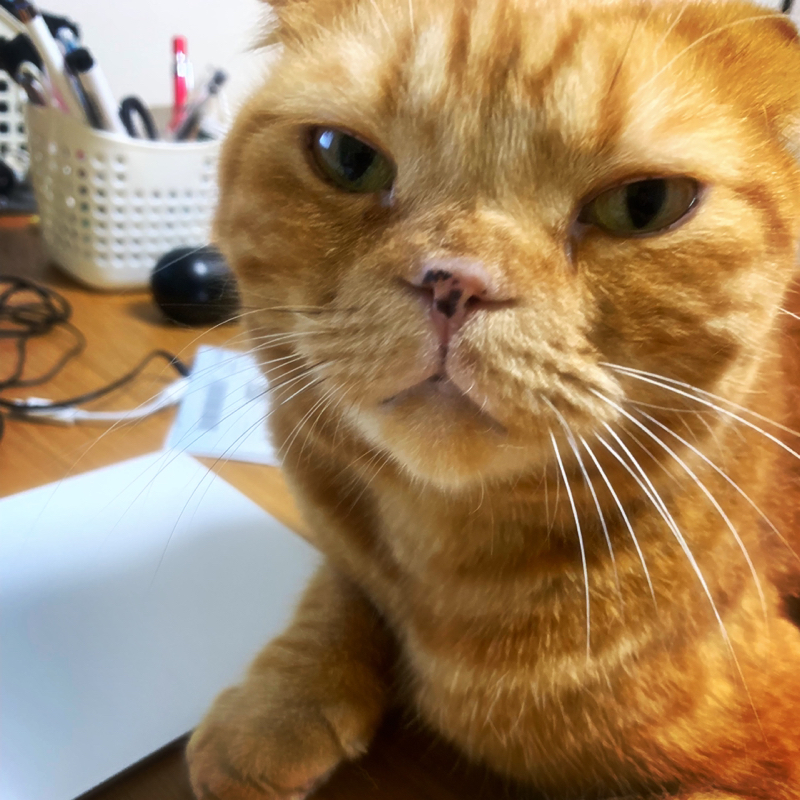 #44 Radio直後に寝るスタイル