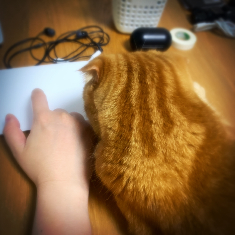 #47 認知バイアス