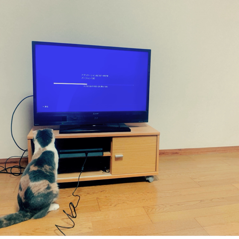 #51 プレステ買いました