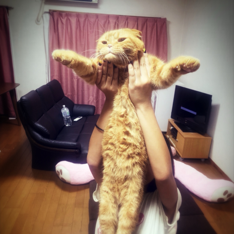 #54 ライオンキングみてきました