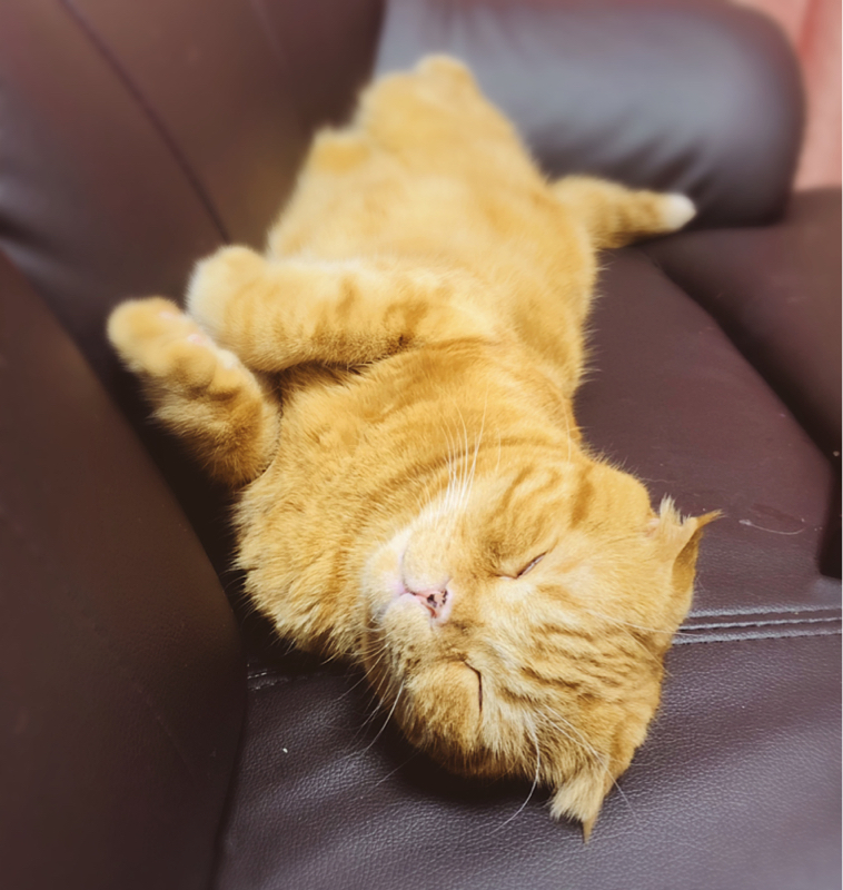 #55 ドラクエと子育て