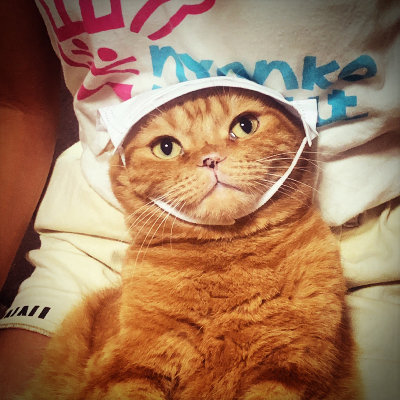 #58 ドラクエ11終わりました！