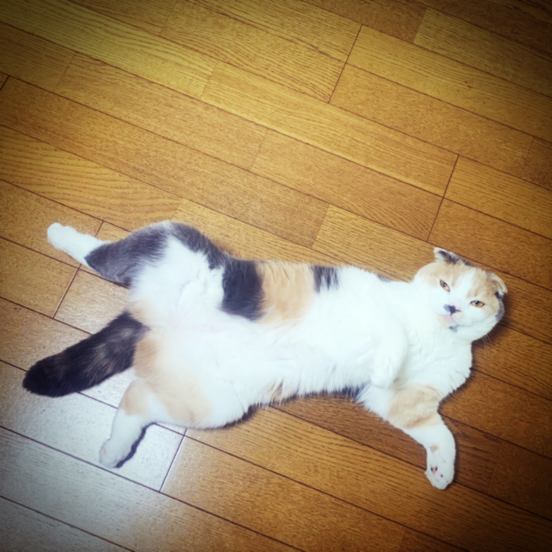 #59 月曜日から学校だねーー