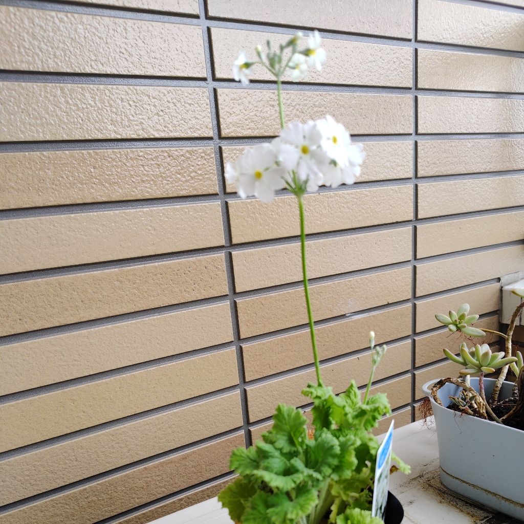 私が抱きしめてあげる♡