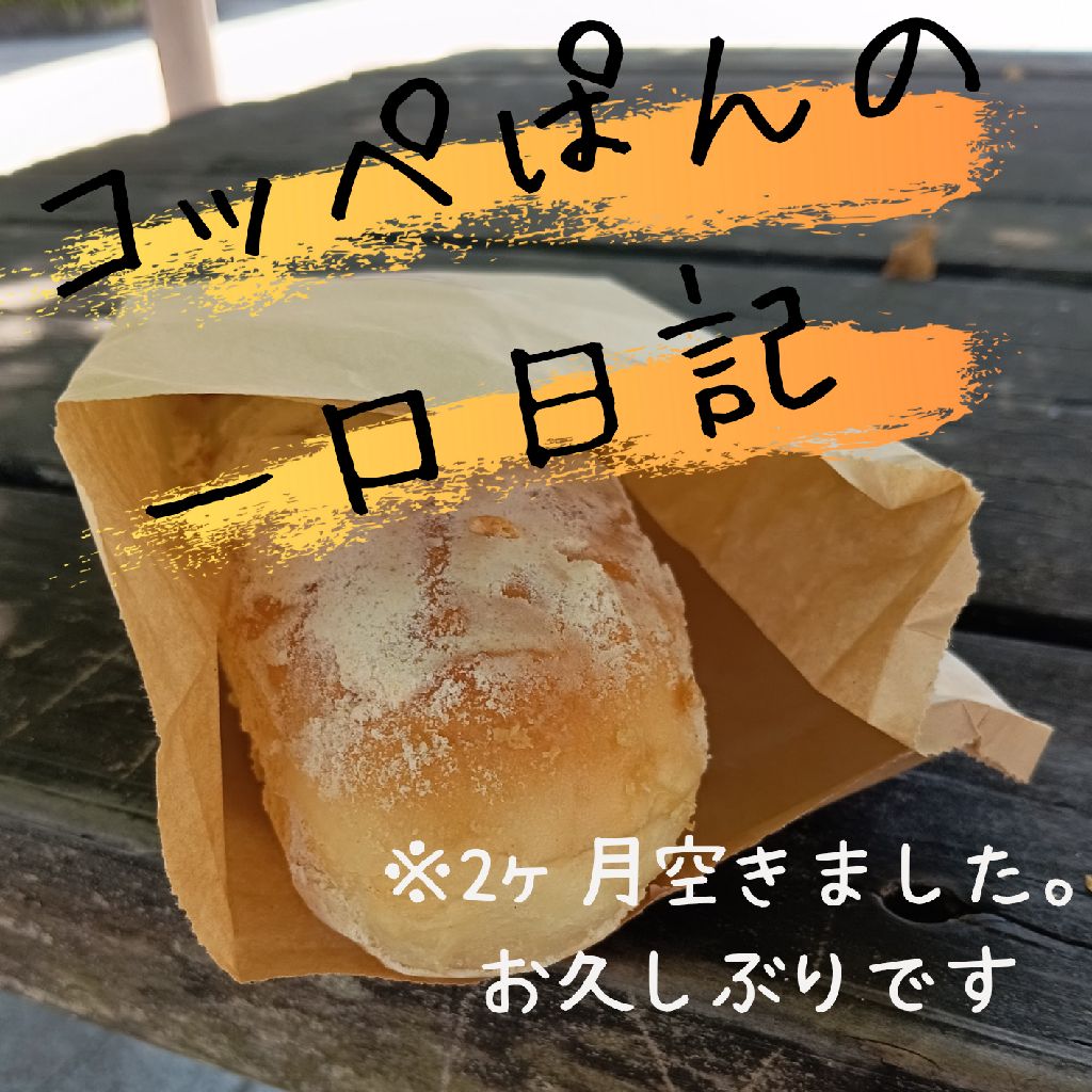 十九口目：お久しぶりです/19BOX/蛇足/カス川柳/もっちわ/カマ喜利