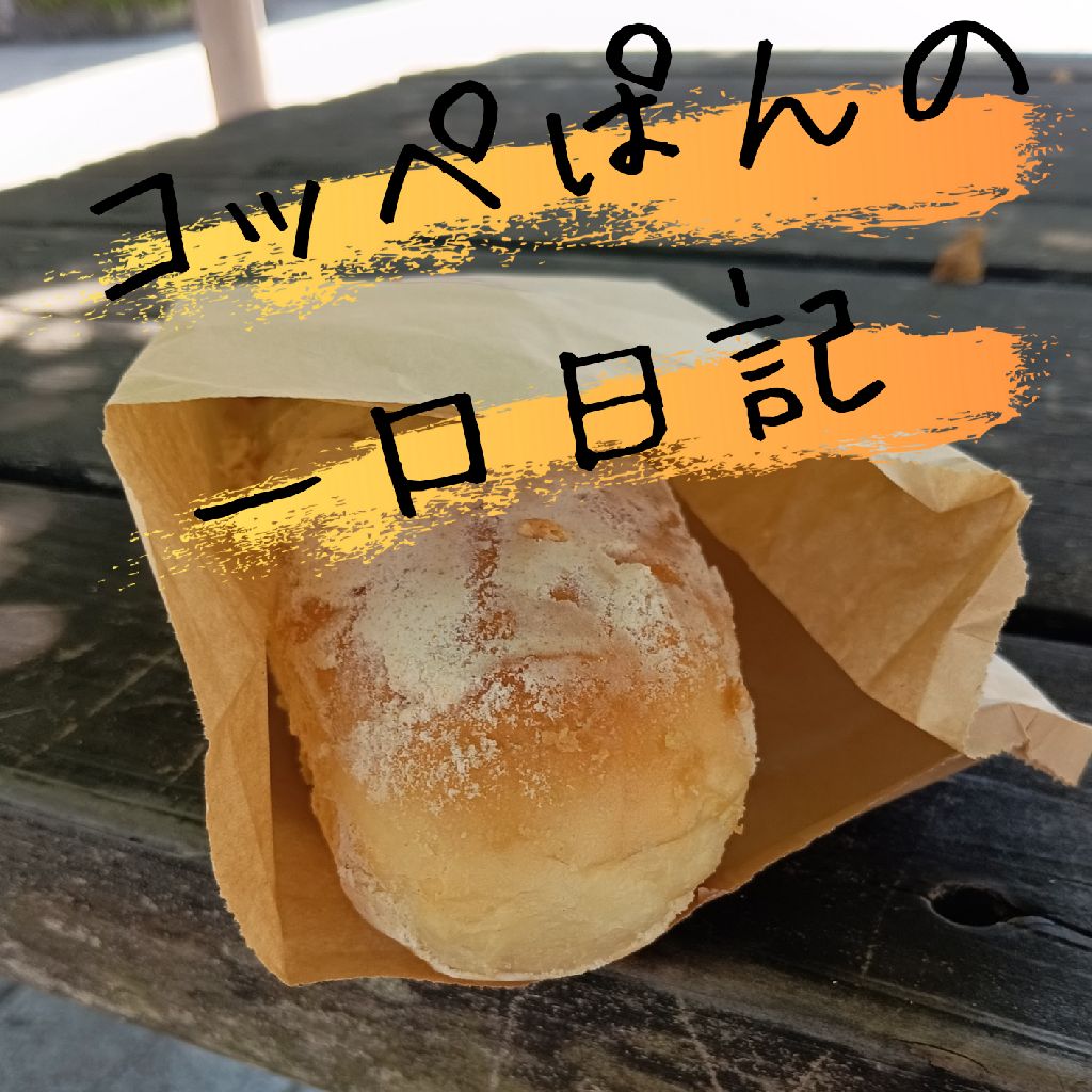 二十口目：気まずい本/市電で散歩