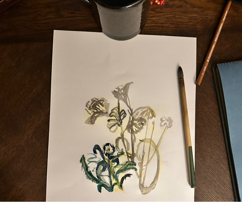 人は種類で分けられる？だけど1人の自分でいたい