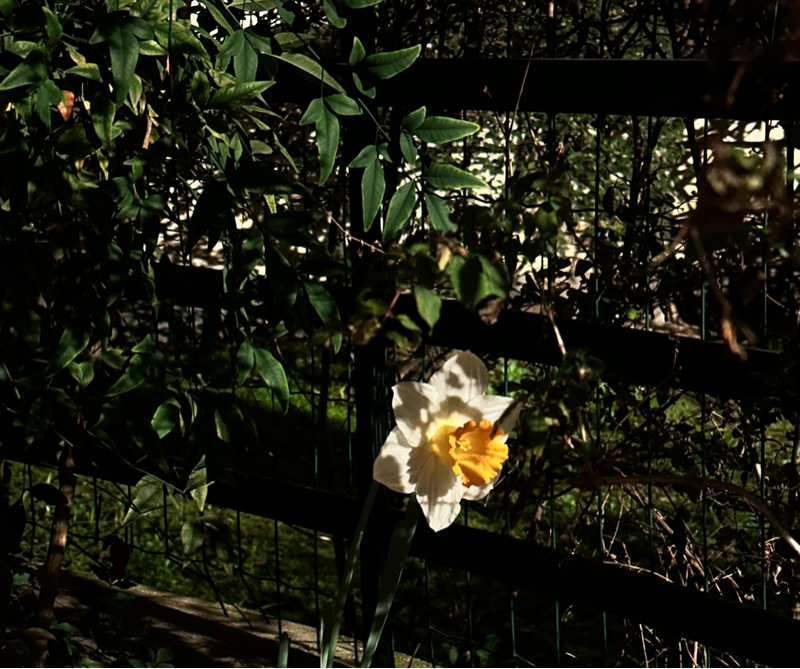 いろいろとわかんないね